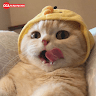 Thảo Nguyễn
